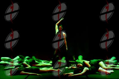 SHOW_00796.jpg